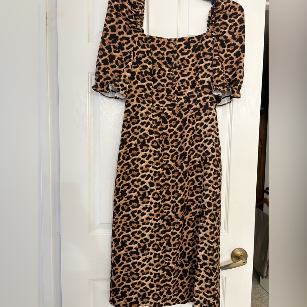 Zara Brown Leopard Long Sleeve Dress